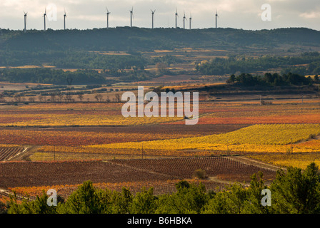 Blick auf die Corbières in Südfrankreich, über herbstliche Weinberge und Windkraftanlagen Stockfoto