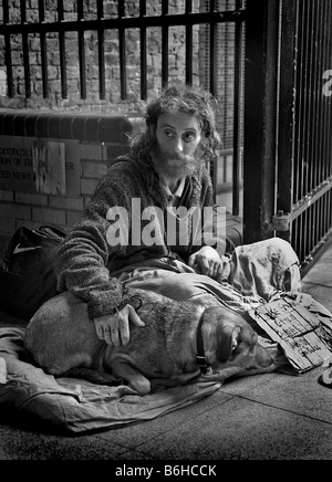 Ein Obdachloser und Hund Betteln auf den Straßen von London Stockfoto