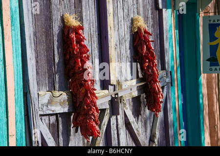 Girlanden Rot-heiße Paprika hängen in einer Gruppe in Santa Fe, New Mexico Stockfoto