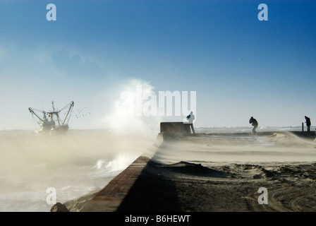 Niederländischen Küste während eines Sturms in Wijk Aan Zee Holland Niederlande Stockfoto