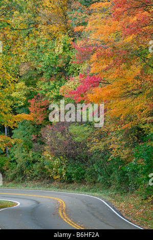 Eine Straße schlängelt sich durch schöne Herbstlaub auf Newfound Gap Road, Great Smoky Mountains National Park Stockfoto