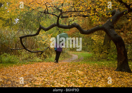 Junge Frau führt durch Prospect Park an einem regnerischen Herbsttag in Brooklyn New York Stockfoto