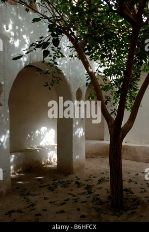 Baum in Ghadames Stockfoto