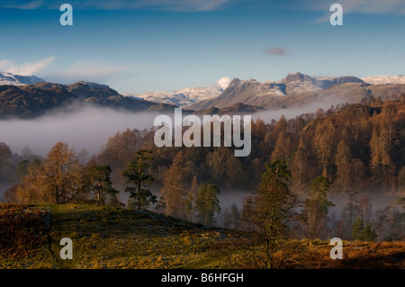 Blick auf die saisonabhängige von Tarn Hows im englischen Lake District Stockfoto