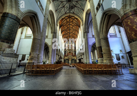 HDR-Foto im Inneren der Kirche St. Bavo oder Grote Kerk Haarlem Holland Niederlande Stockfoto