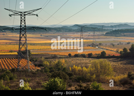 Strommasten, die Weinberge des Languedoc, Frankreich überqueren. Stockfoto