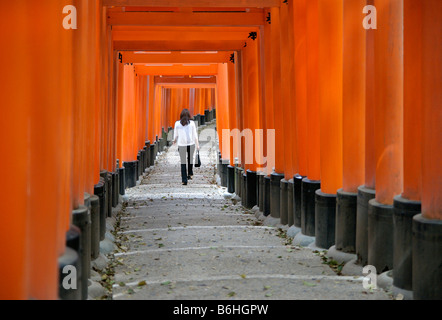 Orange lackiert Torii-Tore im Fushimi Inari-Taisha-Schrein in Kyoto, Japan Stockfoto