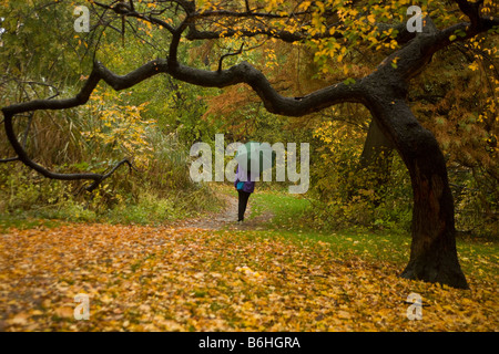 Junge Frau führt durch Prospect Park an einem regnerischen Herbsttag in Brooklyn New York Stockfoto