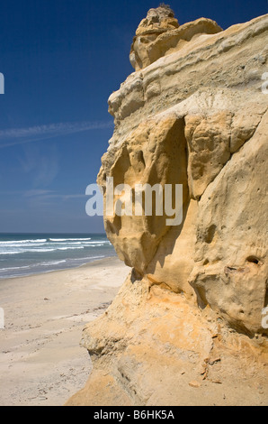 Kalifornien - verwittert und erodierten Sandstein-Klippe entlang der Pazifikküste im Torrey Pines State Reserve in der Nähe von San Diego. Stockfoto