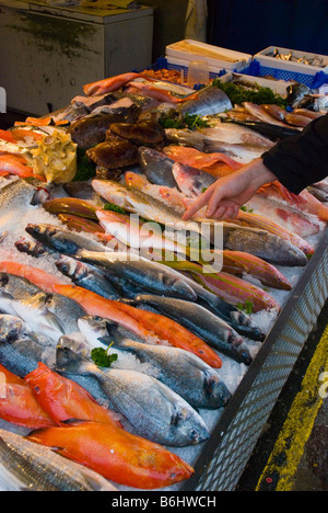 Stall zu verkaufen Fisch auf Shepherds Bush Markt in West London England UK Stockfoto