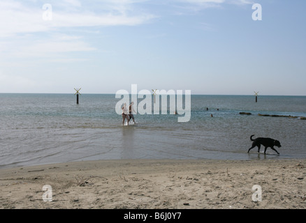Paar mit Hund Paddeln im Meer, Südfrankreich. Stockfoto
