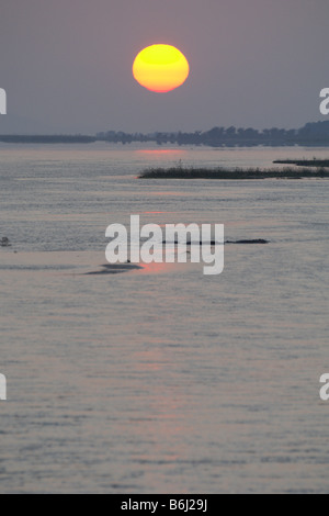 Die Sonne geht über dem Zambezi river Stockfoto