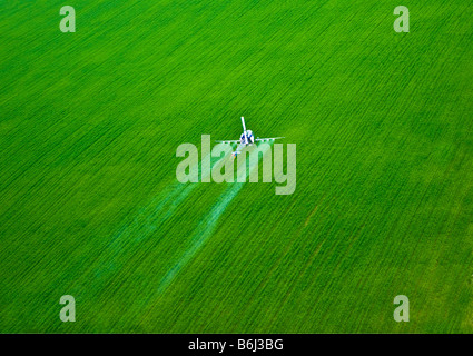 Niedrig fliegenden Hubschrauber sprüht chemischen Schädlingsbekämpfungsmitteln über Baumschule Wald. Stockfoto