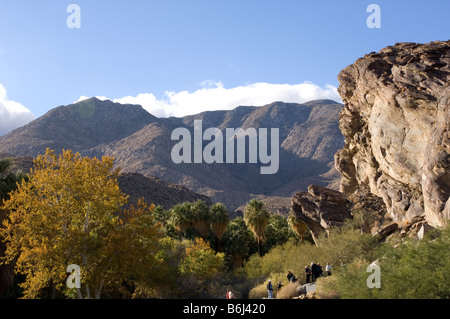 Indisches Reservationsland, Palm Springs Wüste Andreas Canyon California USA Stockfoto