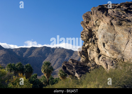 Indisches Reservationsland, Palm Springs Wüste Andreas Canyon California USA Stockfoto