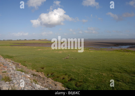 Ufermauer Salzwiesen Goldcliff Gwent Ebenen Newport Wales UK Europe Stockfoto