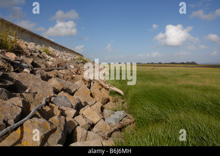 Ufermauer Salzwiesen Goldcliff Gwent Ebenen Newport Wales UK Europe Stockfoto