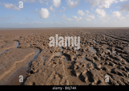 Goldcliff Pille Wattwanderungen Goldcliff Gwent Ebenen Newport Wales UK Europe Stockfoto