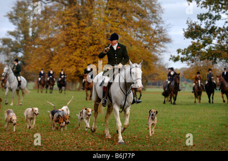 DIE BEAUFORT JAGEN LED DURCH JOINT MASTER KAPITÄN IAN FARQUHAR IN DER NÄHE IHRER BADMINTON ZWINGER GLOUCESTERSHIRE UK Stockfoto