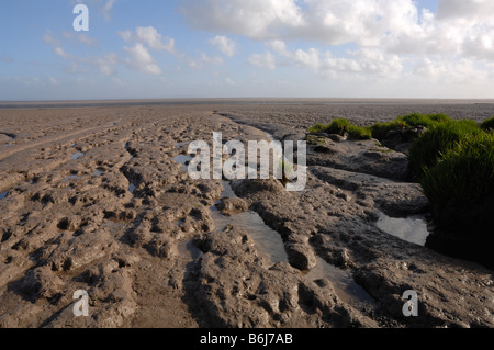 Goldcliff Pille Wattwanderungen Goldcliff Gwent Ebenen Newport Wales UK Europe Stockfoto