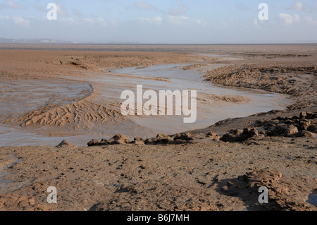 Goldcliff Pille Wattwanderungen Goldcliff Gwent Ebenen Newport Wales UK Europe Stockfoto