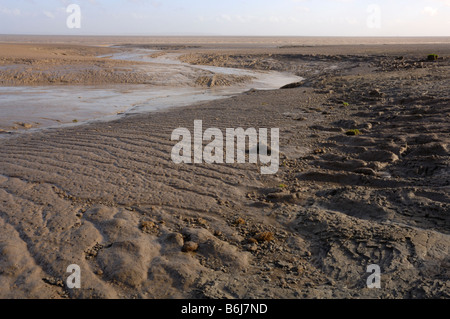 Goldcliff Pille Wattwanderungen Goldcliff Gwent Ebenen Newport Wales UK Europe Stockfoto