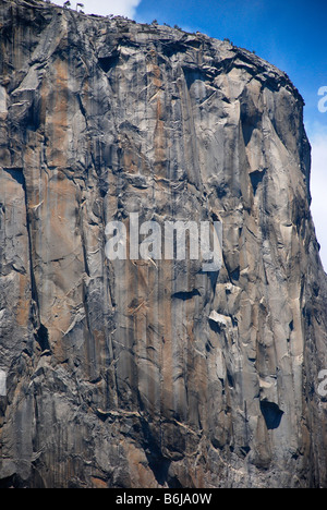 Vier Bergsteiger, die aussehen wie Nadelstiche auf El Capitan Mountain Yosemite Nationalpark Kalifornien USA Amerika USA Stockfoto