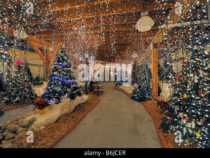 Ein spektakuläres Feuerwerk von Lichtern und Weihnachtsbäume Stockfoto