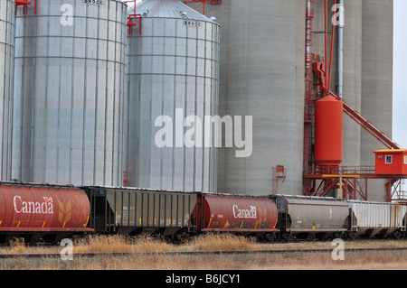 Kornlift 0806 Stockfoto