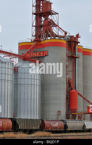 Kornlift 0824 Stockfoto