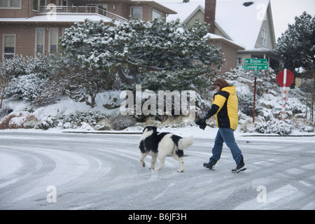 Frau zu Fuß Hund über vereiste Straße Magnolia Nachbarschaft Seattle Washington Stockfoto