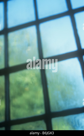 Impressionistischen Blick durch klassische Quadrat-paned Fenster mit Kondensation zu Baum im Spätsommer mit blauem Himmel Stockfoto