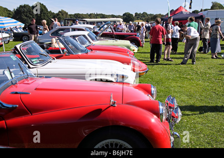 Oldtimer auf der gemeinsamen 2008 England Harpenden Klassiker anzeigen Stockfoto