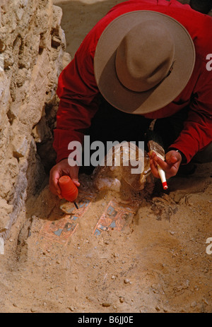 Ägypten, Tal der Mumien, Oase Bahariya Zahi Hawass im Grab 54 bläst Sand aus Mumien Stockfoto