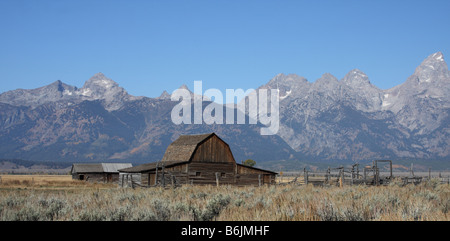 Moulton Scheune, Mormone Zeile Historic District, Grand-Teton-Nationalpark, Wyoming Stockfoto