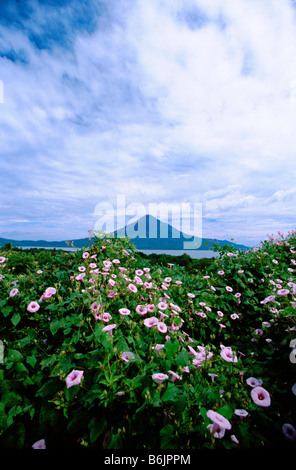 Mittelamerika, Nicaragua, Leon Viejo. Blick auf Landschaft aus León Viejo übersehen. Stockfoto