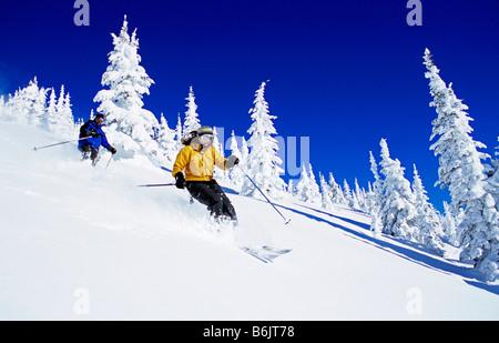 Skifahren im Pulverschnee im Big Mountain Resort in Whitefish Montana (MR) Stockfoto