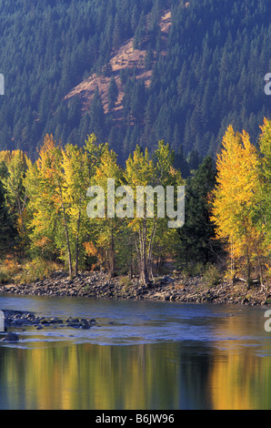 NA, USA, Washington, Okanogan County. Herbstfarbe am Fluss Methow Stockfoto