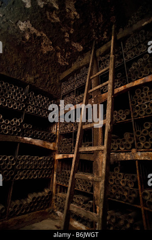 Eines der besten Weinberge im nördlichen Spanien Marques de Murietta YGay. Fotos in den Höhlen Stockfoto