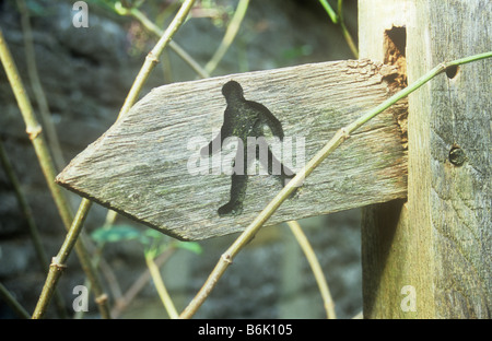 Fäulnis Holzschild auf Post mit ikonische Bild von öffentlichen Fußweg Walker geätzt und bewachsen mit Stielen von Elder bush Stockfoto