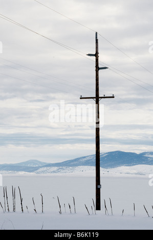 Snowscene und Telefon Polen im winter Stockfoto