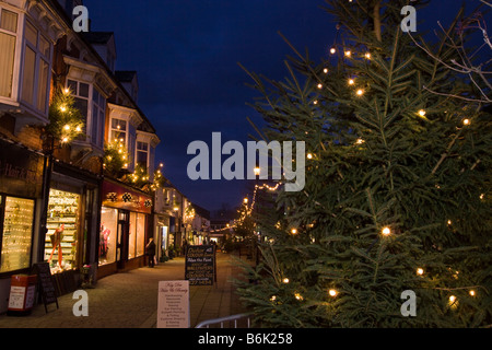 UK England Cheshire Stockport Marple Weihnachtsbaum und Geschäften in der Nacht Stockfoto