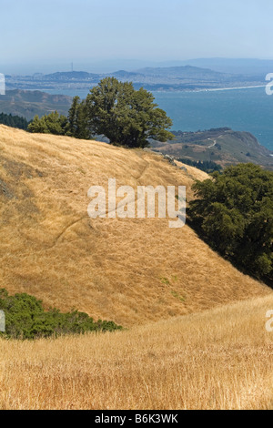 Kalifornien - Rasen bedeckt Hänge und Blick auf den Pazifischen Ozean vom Mount Tamalpais State Park. Stockfoto