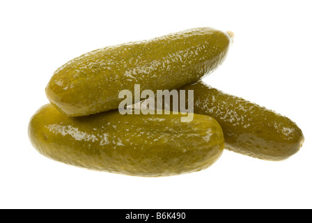 Gurke Dill Pickles isoliert auf weißem Hintergrund Stockfoto