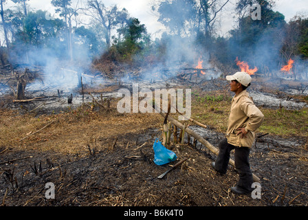 Man kontrolliert die Rodung des Waldes für die Landbewirtschaftung im ländlichen Süden Laos in Südostasien Stockfoto