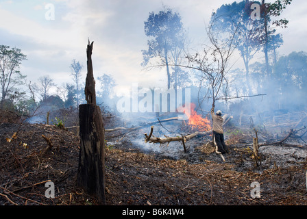 Mann clearing Wald für Ackerbau im ländlichen Süden Laos in Südostasien Stockfoto