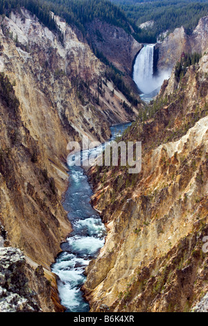 Yellowstone River Lower Falls (308'), Yellowstone-Nationalpark, Wyoming, USA Stockfoto