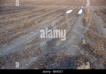 Abgeflacht braunen Feld mit Fahrzeug Reifenspuren und kleinen silbernen Pfützen aus denen Kartoffeln sind, in warmes Licht geerntet worden Stockfoto