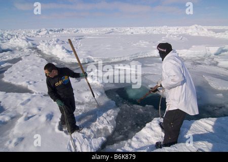 Inupiaq Subsistenz Jäger öffnet ein Loch in das Packeis für potentielle Tierwelt Tschuktschensee passieren Stockfoto