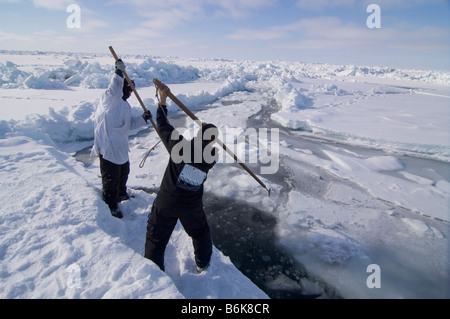 Inupiaq Subsistenz Jäger öffnet ein Loch in das Packeis für potentielle Tierwelt Tschuktschensee passieren Stockfoto